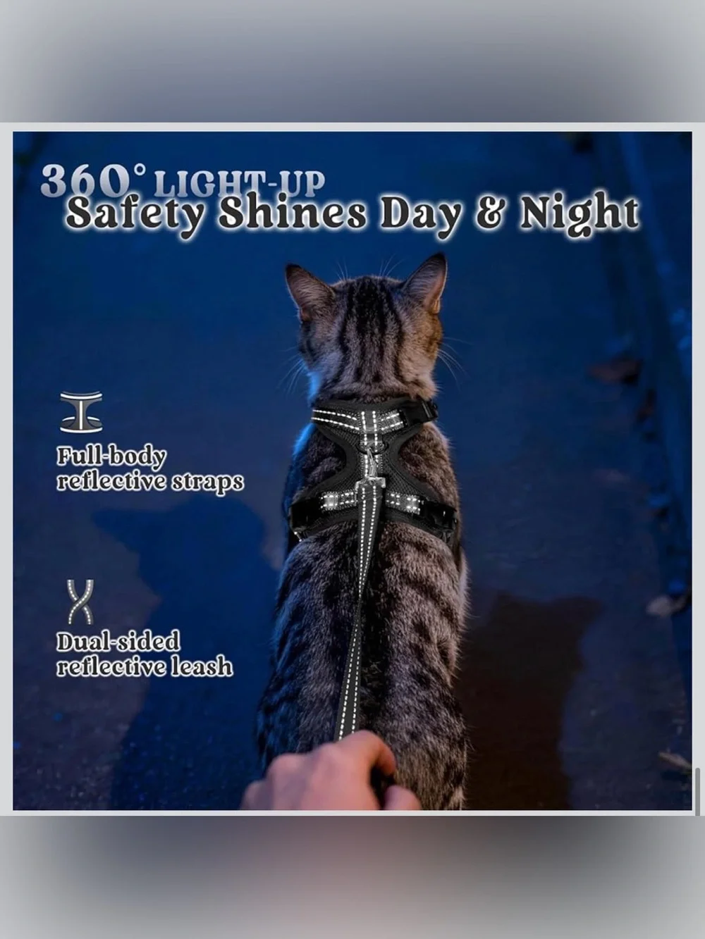 Rabbitgoo cat harness